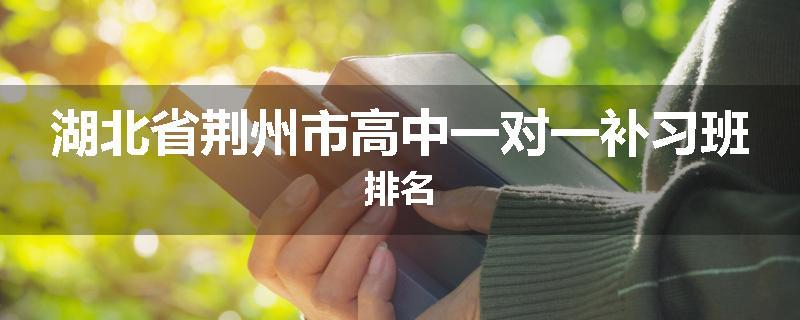 湖北省荆州市高中一对一补习班排名