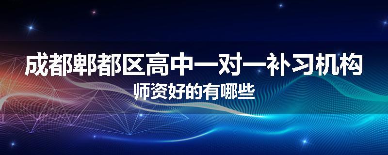 成都郫都区高中一对一补习机构师资好的有哪些
