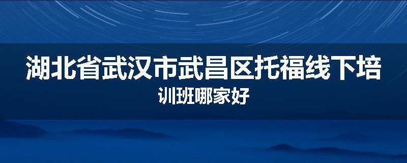 湖北省武汉市武昌区托福线下培训班哪家好