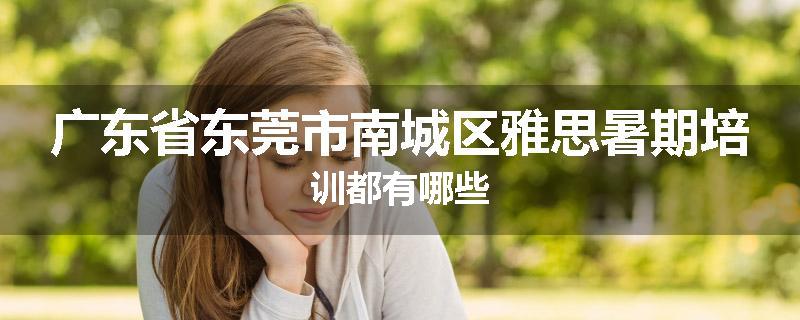 广东省东莞市南城区雅思暑期培训都有哪些