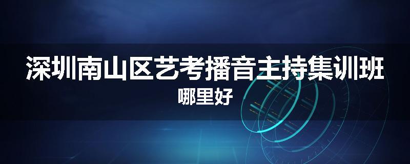 深圳南山区艺考播音主持集训班哪里好