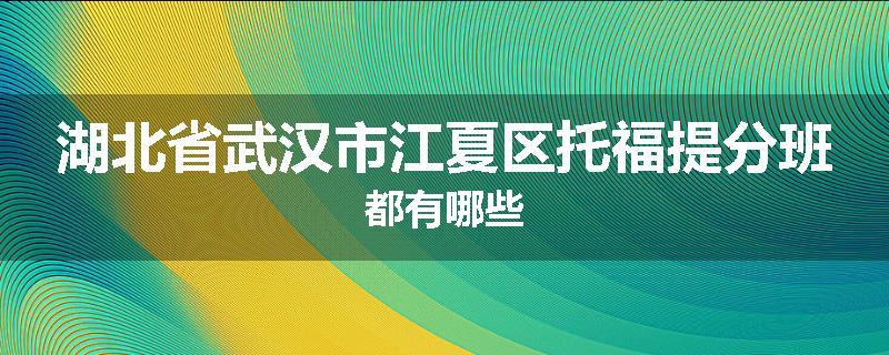 湖北省武汉市江夏区托福提分班都有哪些