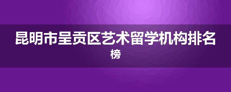 昆明市呈贡区艺术留学机构排名榜