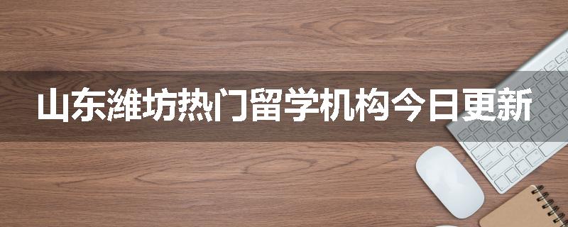 山东潍坊热门留学机构今日更新