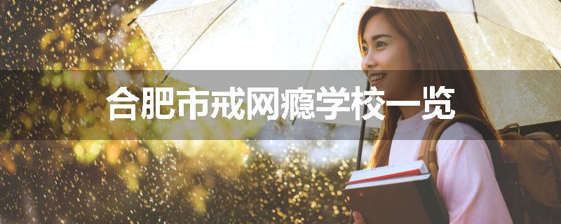 合肥市戒网瘾学校一览