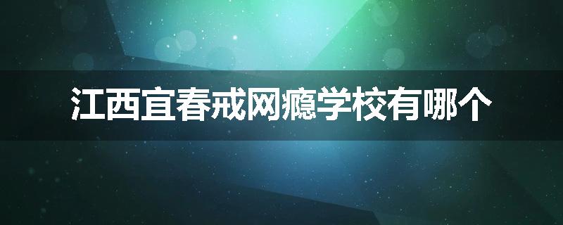 江西宜春戒网瘾学校有哪个