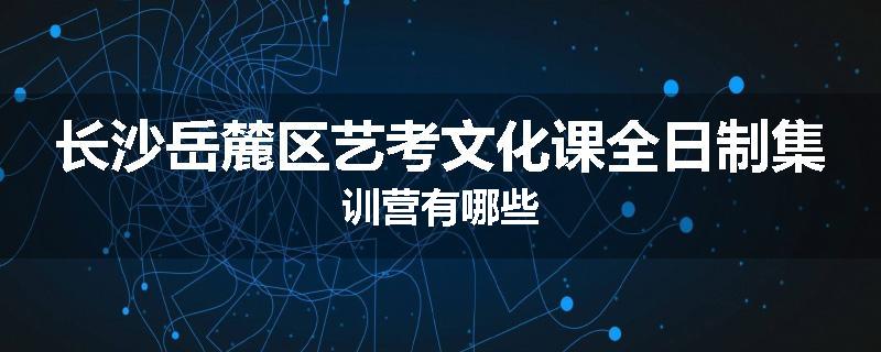 长沙岳麓区艺考文化课全日制集训营有哪些