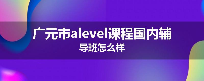 广元市alevel课程国内辅导班怎么样