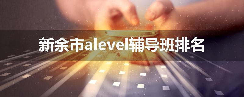 新余市alevel辅导班排名