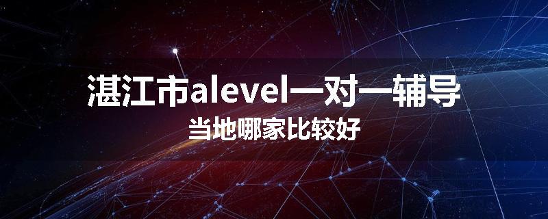 湛江市alevel一对一辅导当地哪家比较好