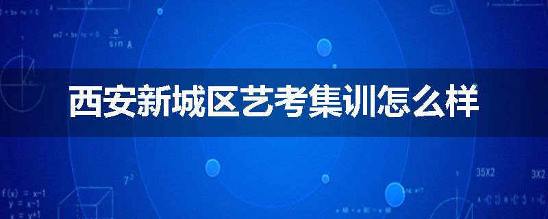 西安新城区艺考集训怎么样