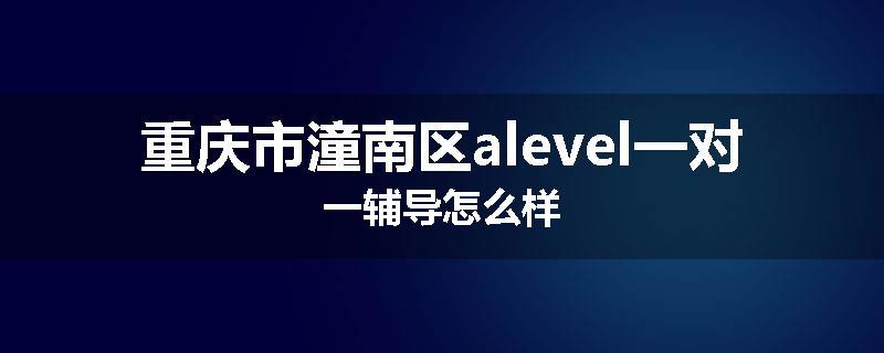 重庆市潼南区alevel一对一辅导怎么样