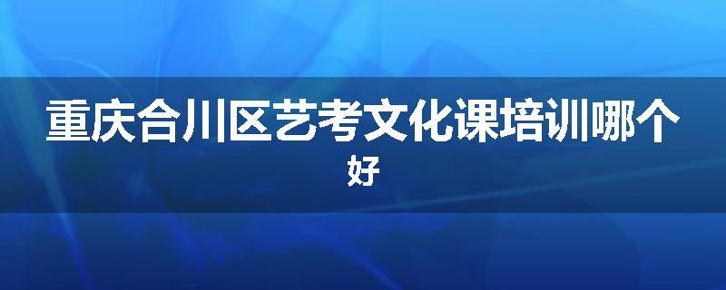 重庆合川区艺考文化课培训哪个好