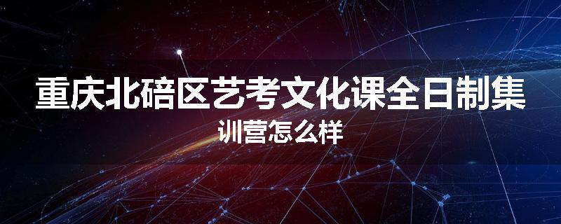 重庆北碚区艺考文化课全日制集训营怎么样