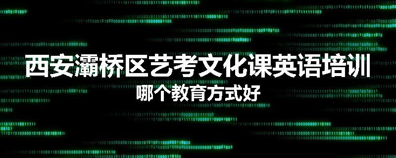 西安灞桥区艺考文化课英语培训哪个教育方式好