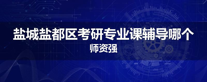 盐城盐都区考研专业课辅导哪个师资强