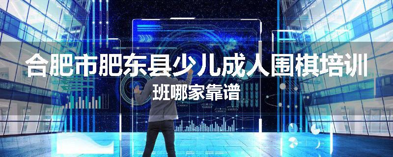 合肥市肥东县少儿成人围棋培训班哪家靠谱