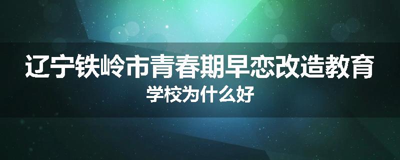 辽宁铁岭市青春期早恋改造教育学校为什么好