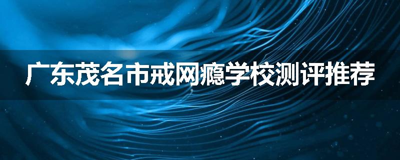 广东茂名市戒网瘾学校测评推荐