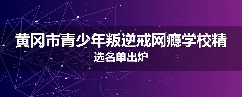 黄冈市青少年叛逆戒网瘾学校精选名单出炉