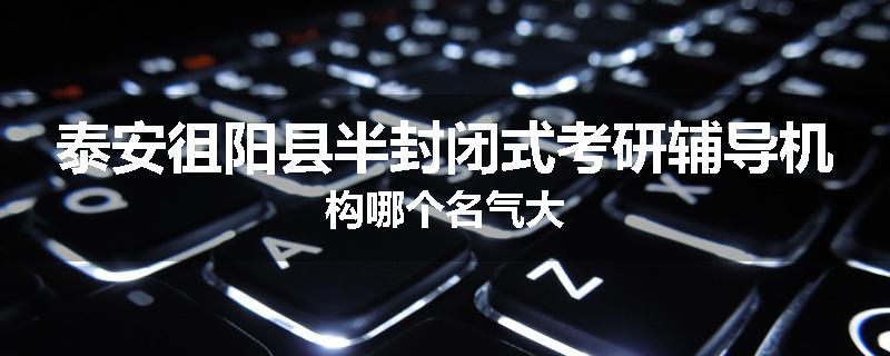 泰安徂阳县半封闭式考研辅导机构哪个名气大