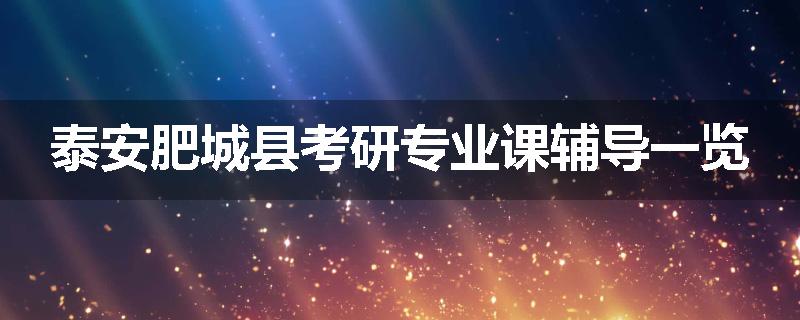 泰安肥城县考研专业课辅导一览