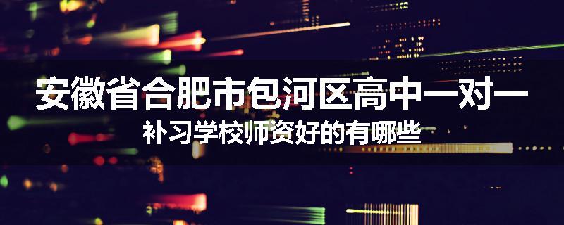 安徽省合肥市包河区高中一对一补习学校师资好的有哪些
