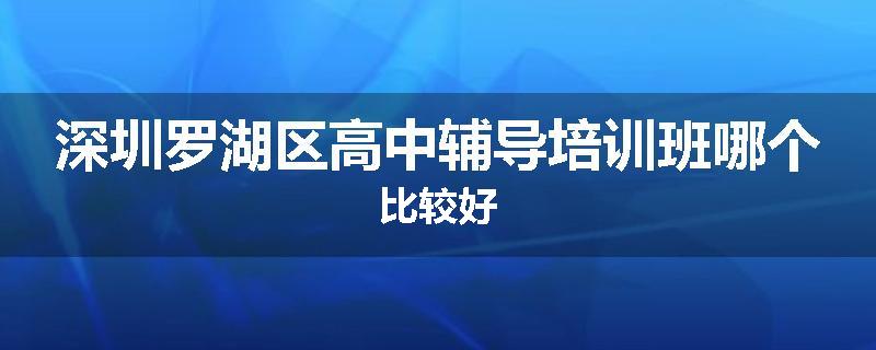 深圳罗湖区高中辅导培训班哪个比较好