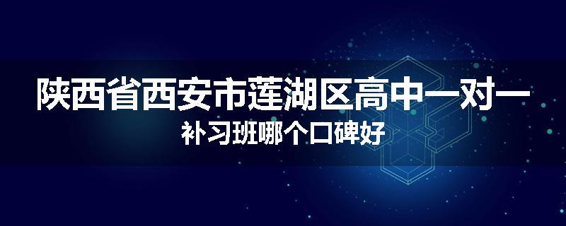 陕西省西安市莲湖区高中一对一补习班哪个口碑好