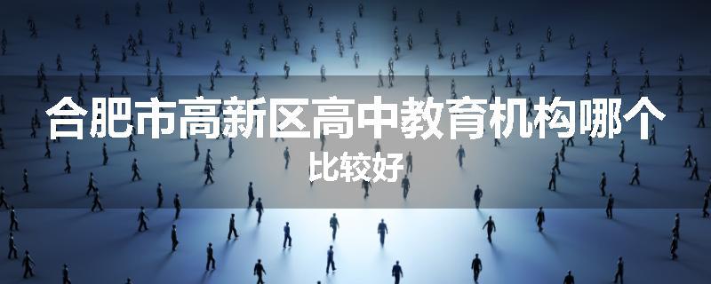 合肥市高新区高中教育机构哪个比较好