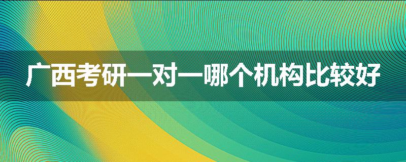 广西考研一对一哪个机构比较好
