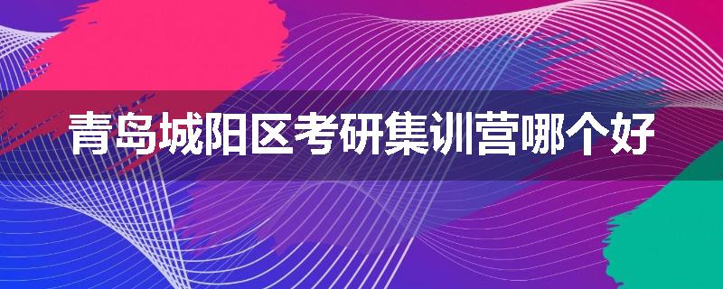 青岛城阳区考研集训营哪个好