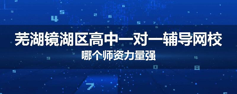 芜湖镜湖区高中一对一辅导网校哪个师资力量强