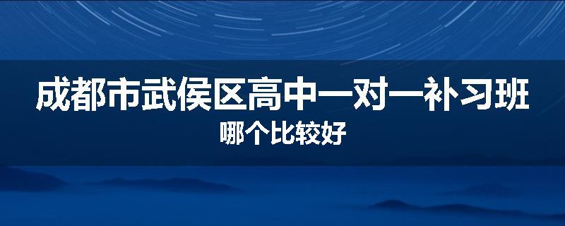 成都市武侯区高中一对一补习班哪个比较好