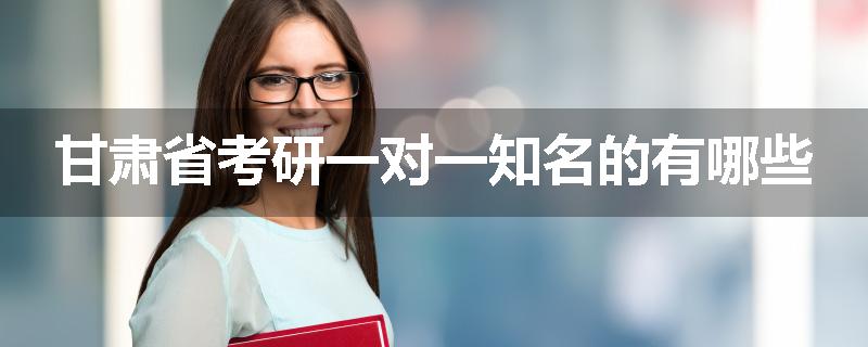 甘肃省考研一对一知名的有哪些