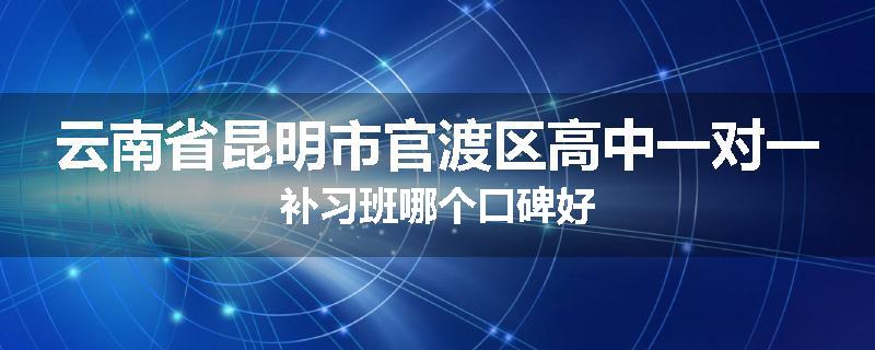 云南省昆明市官渡区高中一对一补习班哪个口碑好