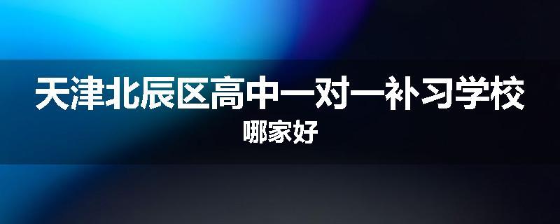 天津北辰区高中一对一补习学校哪家好