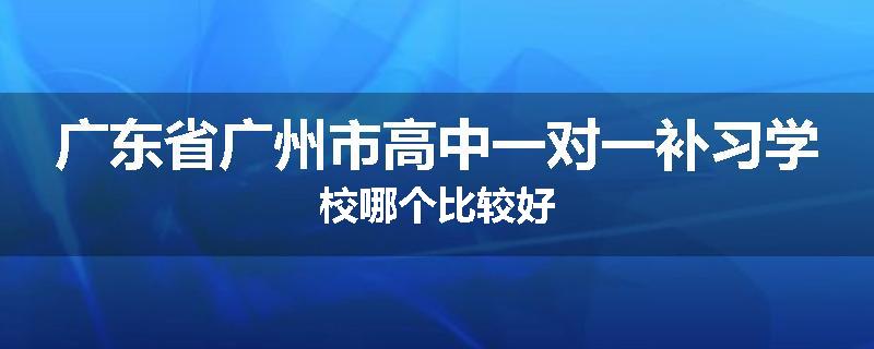 广东省广州市高中一对一补习学校哪个比较好