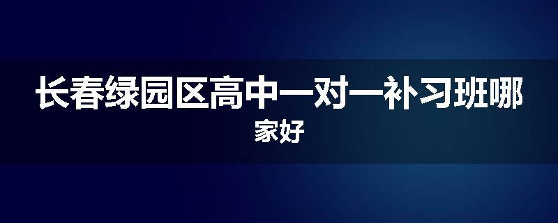长春绿园区高中一对一补习班哪家好
