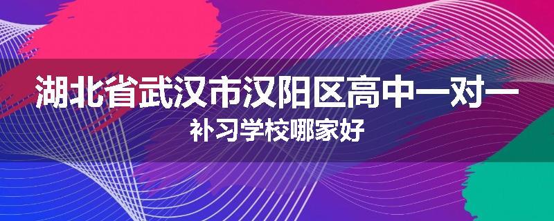 湖北省武汉市汉阳区高中一对一补习学校哪家好