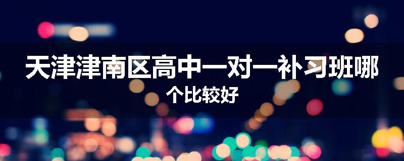 天津津南区高中一对一补习班哪个比较好