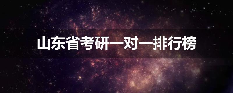 山东省考研一对一排行榜