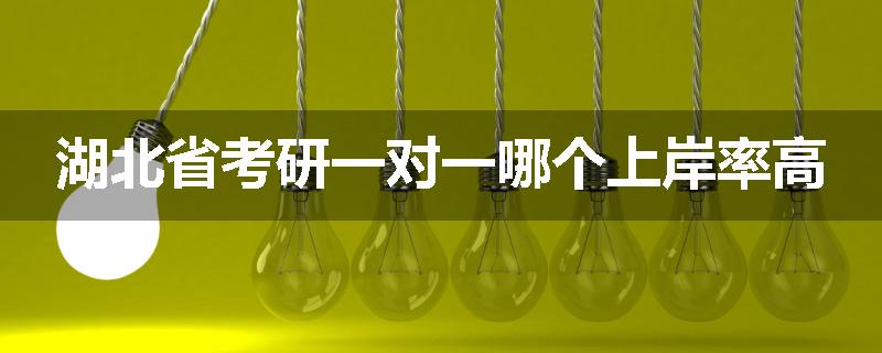 湖北省考研一对一哪个上岸率高