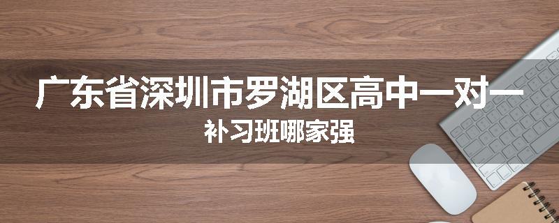 广东省深圳市罗湖区高中一对一补习班哪家强