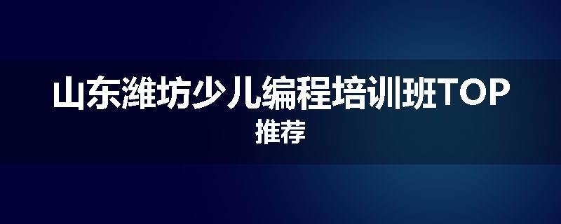山东潍坊少儿编程培训班TOP推荐