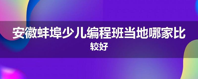 安徽蚌埠少儿编程班当地哪家比较好