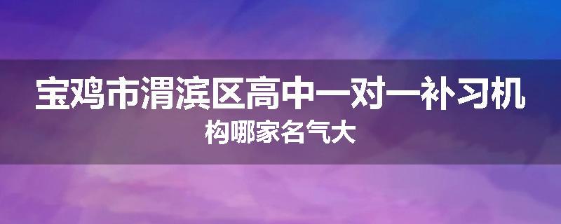 宝鸡市渭滨区高中一对一补习机构哪家名气大