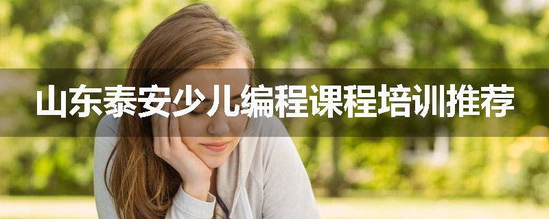 山东泰安少儿编程课程培训推荐