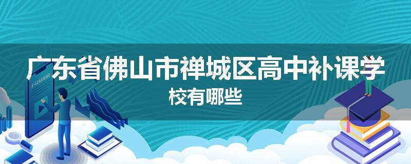 广东省佛山市禅城区高中补课学校有哪些