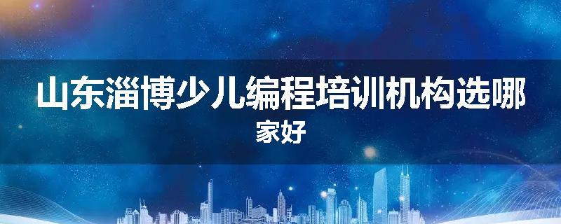 山东淄博少儿编程培训机构选哪家好